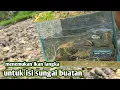Download Lagu MENCARI IKAN UNIK UNTUK DIMASUKAN SUNGAI BUATAN DIRUMAH