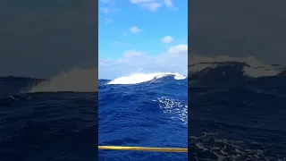 The Blue Planet 🌎