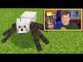⛏️🏕️💎DAG 2 CREATORSMP: ZÉÉR BELANGRIJKE DINGEN DOEN!🌋🐑🎪