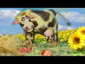 Download Lagu Tengo una vaca lechera
