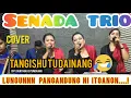 Lagu Tangishu tu da Inang cipt.Bunthora situmorang cover SENADA TRIO
