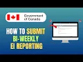 HOW TO SUBMIT BI-WEEKLY EI REPORT - 2026 UPDATE