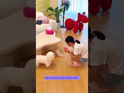 TRỨNG RẮN Khổng Lồ Dưới Gầm Giường 🐍😱