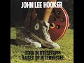 Going Down (feat. Van Morrison) - John Lee Hooker