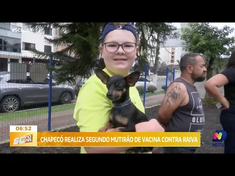 Segunda etapa da campanha de vacinação contra a raiva em Chapecó
