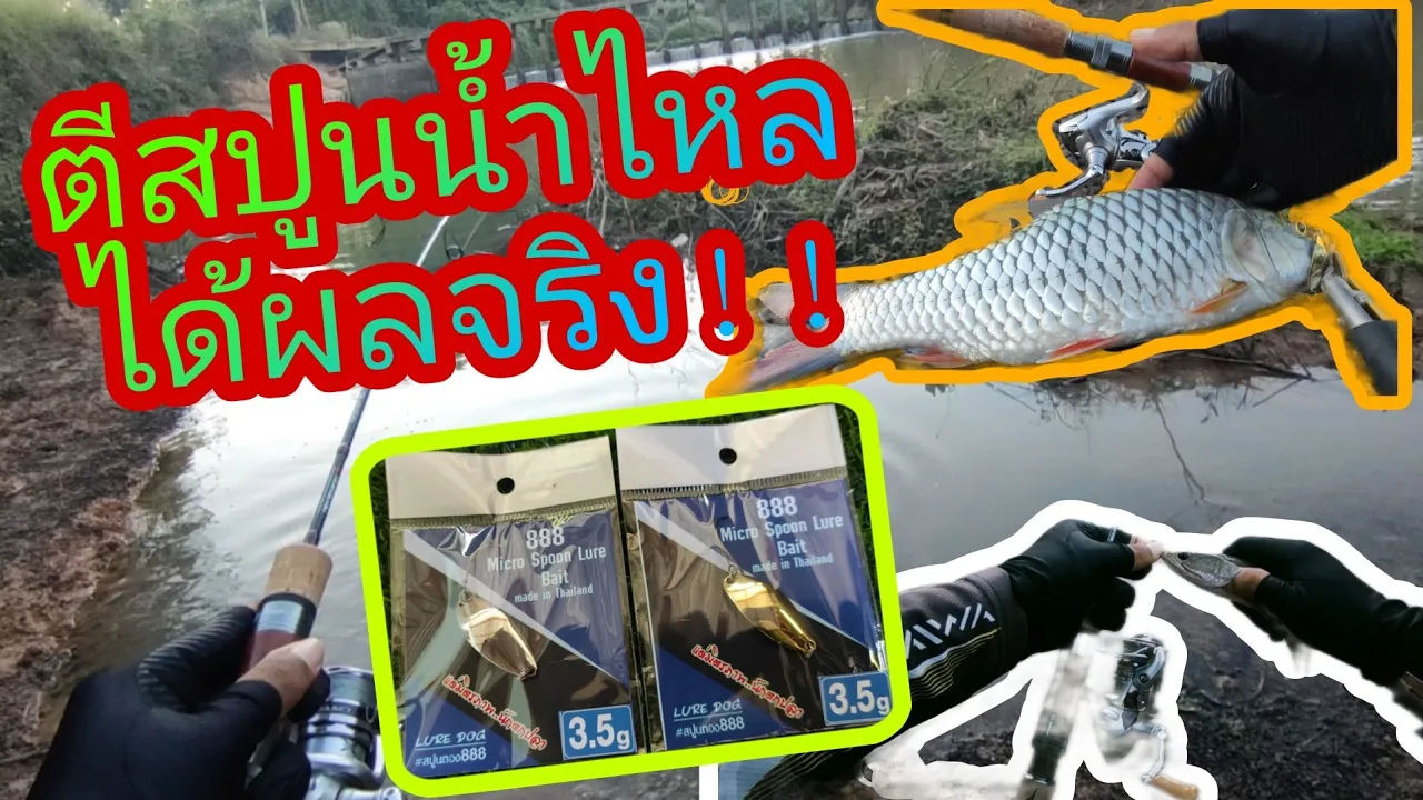 ตกปลากระสูบหน้าฝายน้ำไหล น้ำขุ่น ใช้เหยื่อตัวนี้ได้ผลจริง!!!!