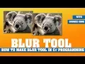 Image Blur Tool Tutorial How to blur an Image using C programming With Source Code