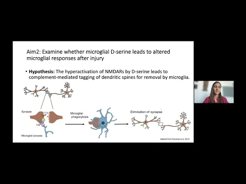 Download MP3 Microglial D-Serine Mediated Synaptic Damage in Traumatic Brain Injury:  Dena Arizanovska