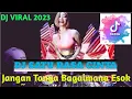 Download Lagu DJ JANGAN TANYA BAGAIMANA ESOK VIRAL TIKTOK