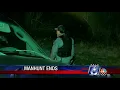 Suspect caught in early morning Bee County car chase fire
