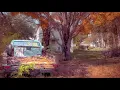 A Forgotten Town in Northern Wisconsin