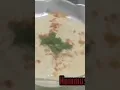 Download Lagu The Easiest Hummus Recipe Ever