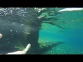 Raw clip of Cailin off the one meter at Balmorhea