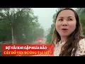 Download Lagu Panicked When Encountering A Storm For The First Time, It Was Dark And Stormy, I Couldn't See The...