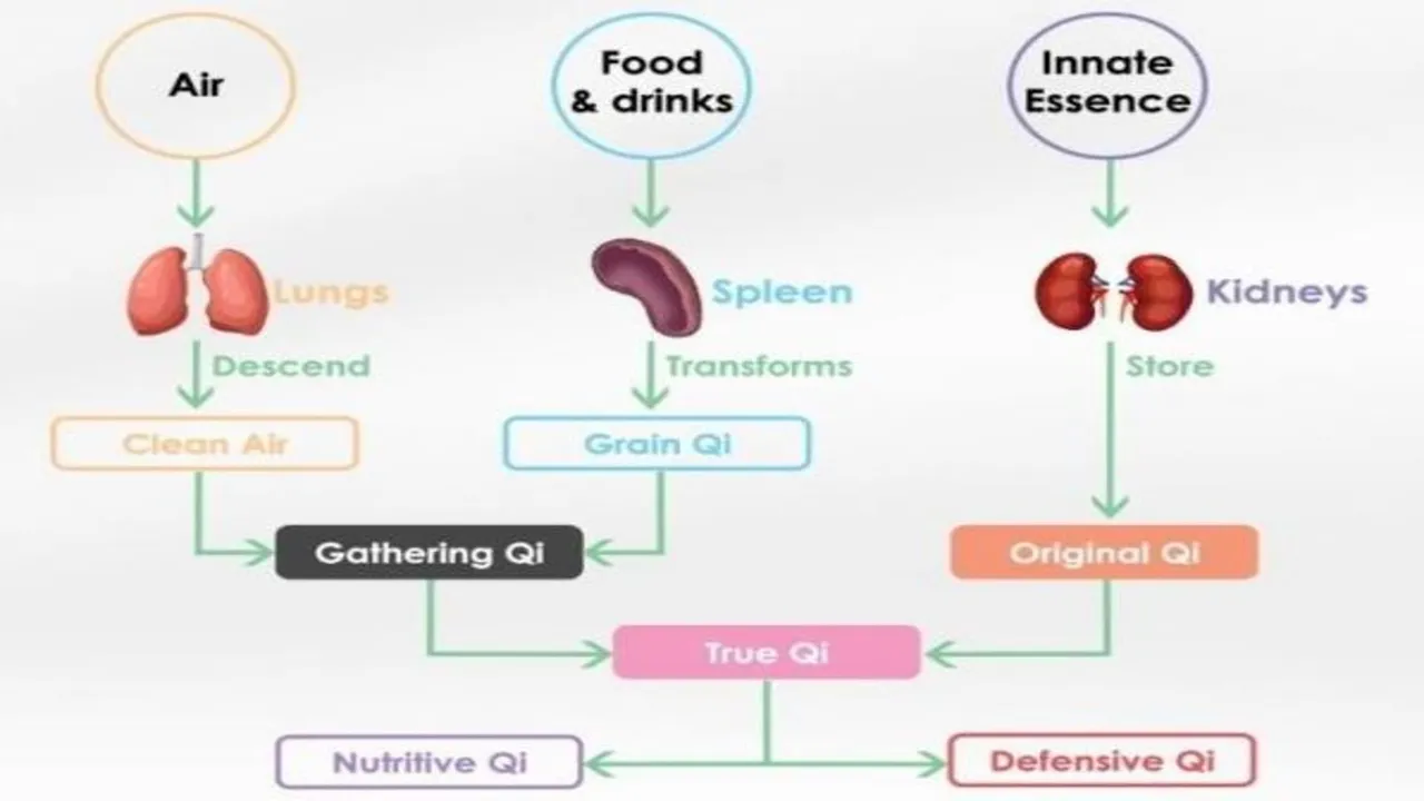 TYPES OF QI