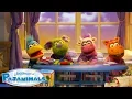 Download Lagu Pajanimals Theme Song | Music for Kids | Pajanimals
