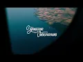 BUNT. - Love (ft. johan lenox)