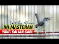 Download Lagu SUARA MASTERAN KOLIBRI KELAPA BETINA GACOR BUKA PARUH FULL TEMBAKAN