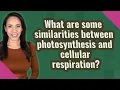 What are some similarities between photosynthesis and cellular respiration