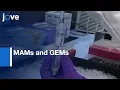 MAMs and GEMs Isolation from Brain Protocol