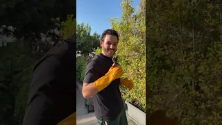 تفضلوا معي عالتشحيل     الوليد الحلاني دندنها