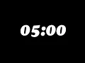 5 Minute Interval Timer With Beep Every 300 Seconds