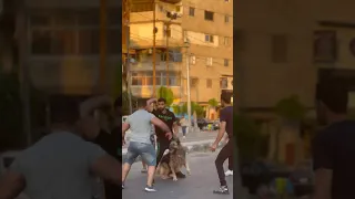 عم اسبارطه خدله شرطه هب ورطه معايا جه فى حوار 