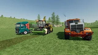 LS 22 No Man s land