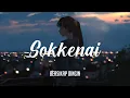 RADWIMPS - Sokkenai「️そっけない」: Cover by Kobasolo || Lyric \u0026 Terjemahan
