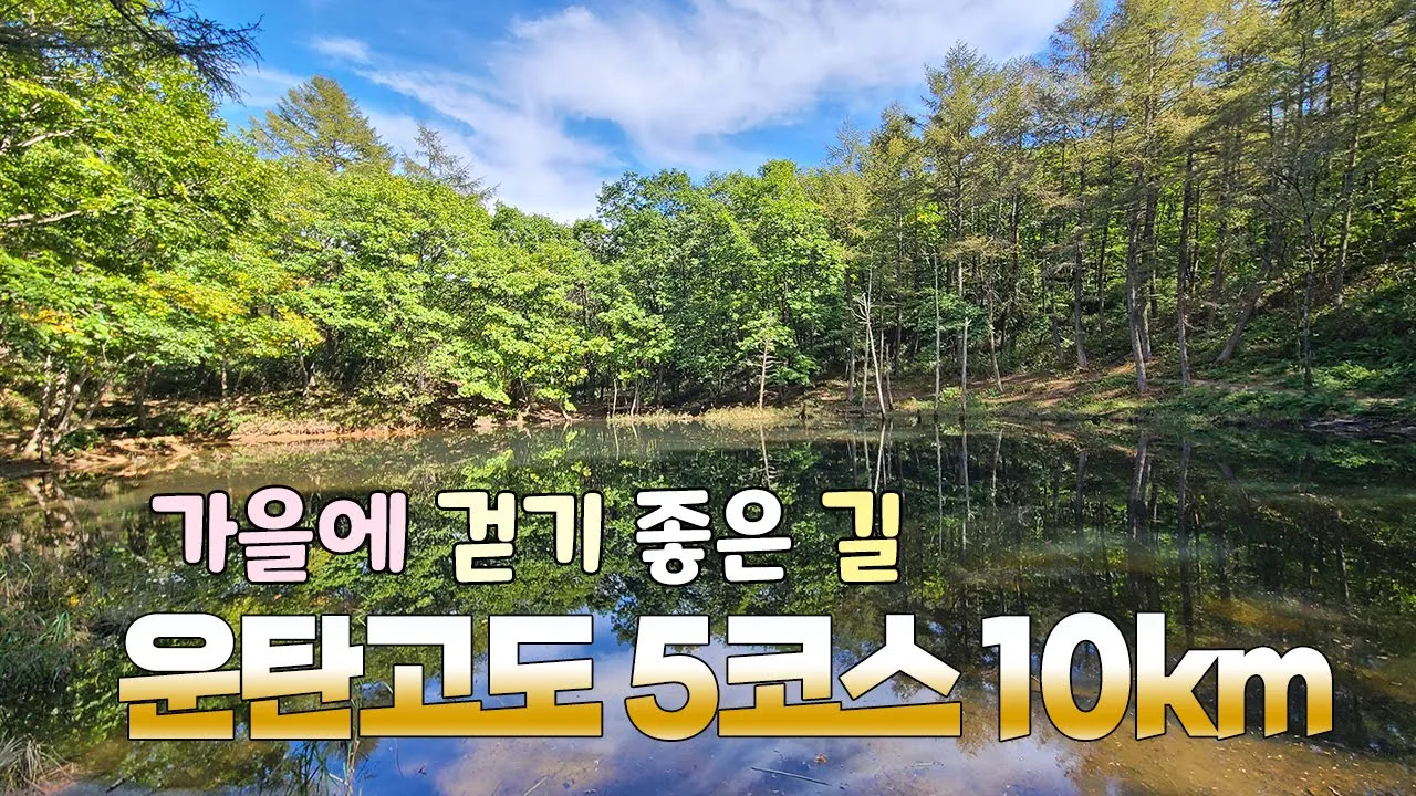 가을에 걷기 좋은 길 | 운탄고도 1330 | 한국의 차마고도 | 강원도 정선편 | 운탄고도 5코스 10km | 폐광지역을 걷는 길 | 시원한 풍경 맛집 サムネイル