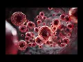 Plasma Donation - beginner advice tips and tricks