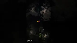 خوفي يا قلبي تخسر يلي حبيتو اكثر 