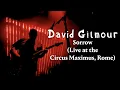 David Gilmour - Sorrow (Live at the Circus Maximus, Rome)
