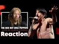 Download Lagu My Life Has Been Changed😨... - Red Hot Chili Peppers Live At Slane Castle Reaction!