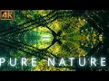 Download Lagu Floating Through Tree Dimensions |1h+ Trippy Nature Visuals 4K