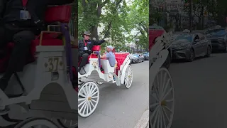 Montreal & Quebec Teaser