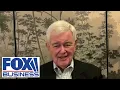 Newt Gingrich Democrats are desperately counting on AMNESIA