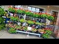 The Plants and Flowers Are Happy Because it s Raining Outside of Wegmans on Mount Read Bouleva