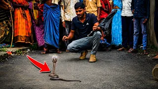 सीढ़ी के नीचे बैठा कोबरा साँप रेस्क्यू वीडियो!😲🐍#snake #cobra 