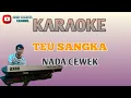 Download Lagu KARAOKE TEU SANGKA ( NADA CEWEK )