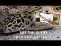A Beginner s Guide to Leopard Gecko Enclosures Tanks Lighting Heating and more