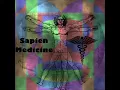 SAPIEN MEDICINE REUPLOAD Stop Procrastinating Energy Frequency - Supercharge your Willpower