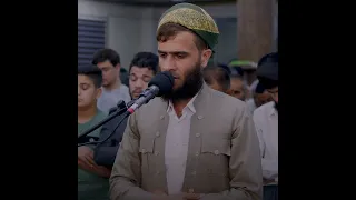 محمد رسول الله رزكار محمد الكردي 