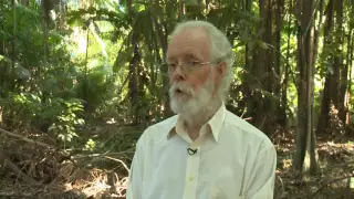 Criando solos férteis: lições dos estudos das terras pretas