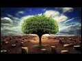 Cindy Trimm Prayer - Entrepreneurial Declaration