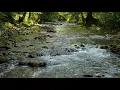 Forest River - Stream Sounds for Sleeping - No Birds - Relaxing Nature Video - Water Flowing 10 Hour