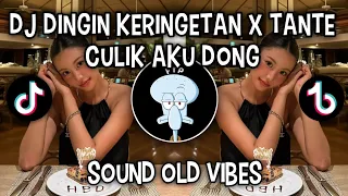 dj dingin keringetan x tante culik aku dong sound old viral tiktok 