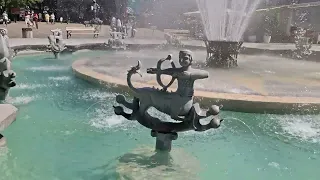                                                                دندنها