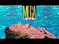 Lagu Mega Hits 2 (1988)