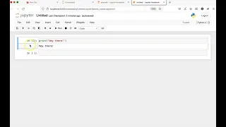 Running a Jupyter notebook and its cells